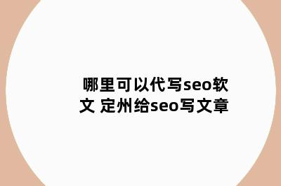 哪里可以代写seo软文 定州给seo写文章